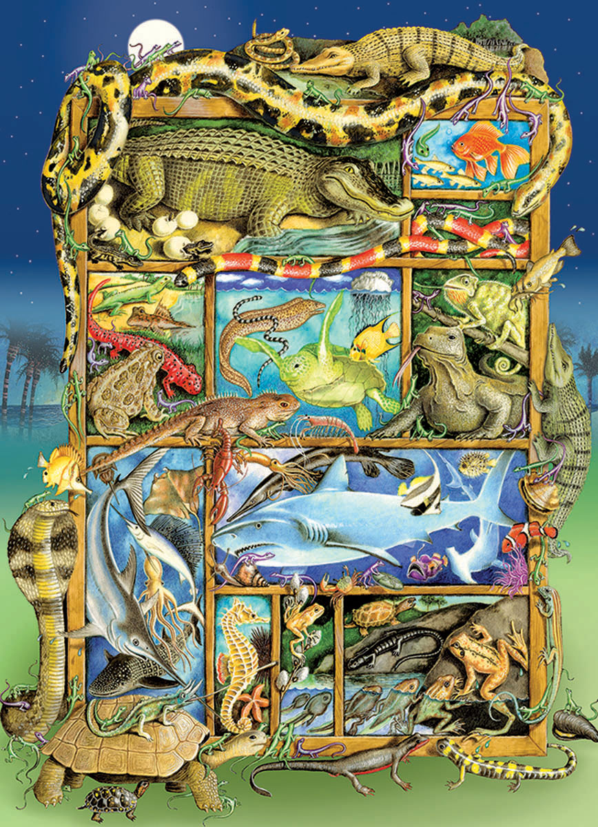Reptiles and Amphibians Animals Jigsaw Puzzle