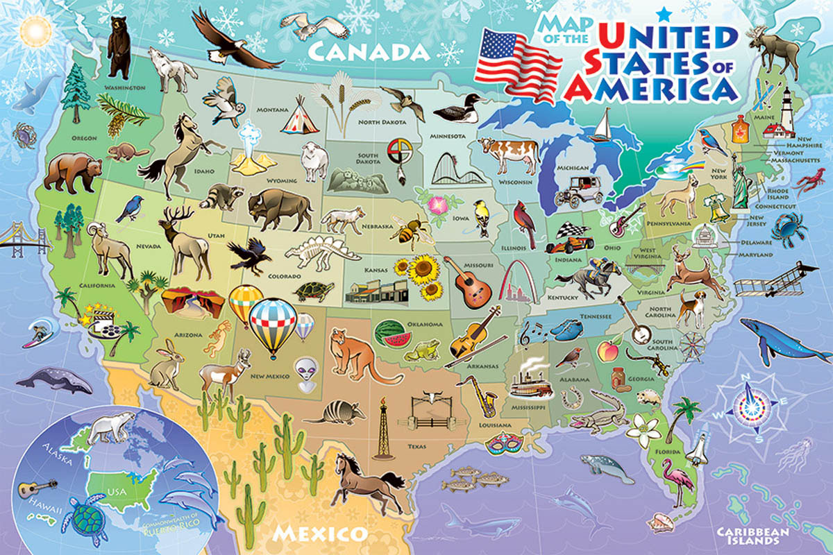 Map of the USA Educational Children's Puzzles