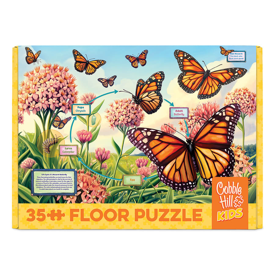 Life Cycle of a Monarch Butterflies and Insects