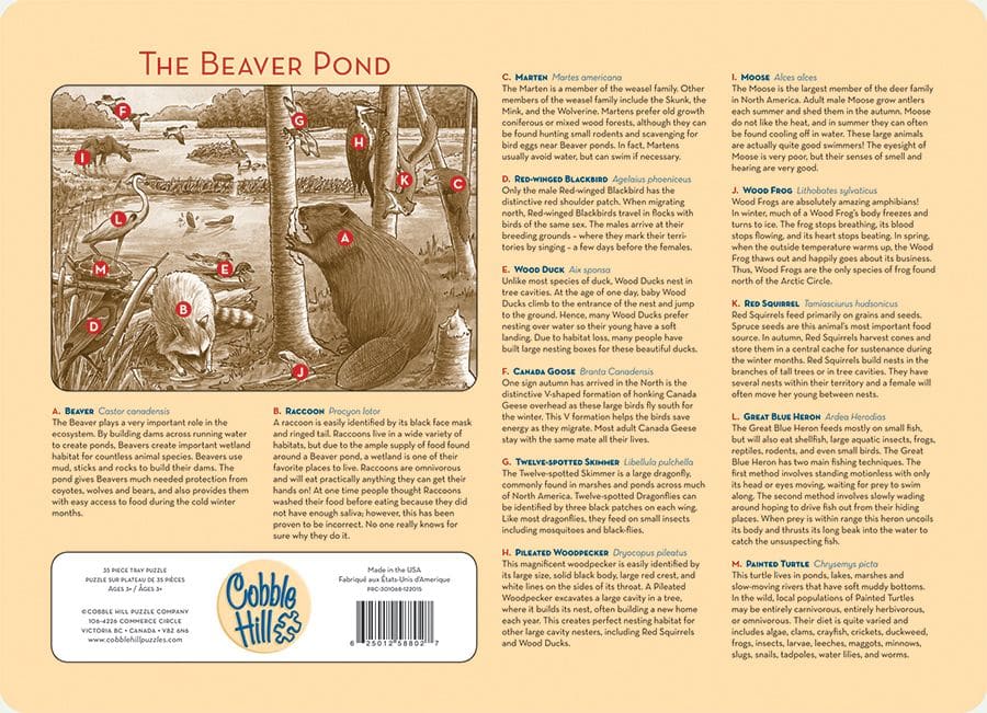 The Beaver Pond