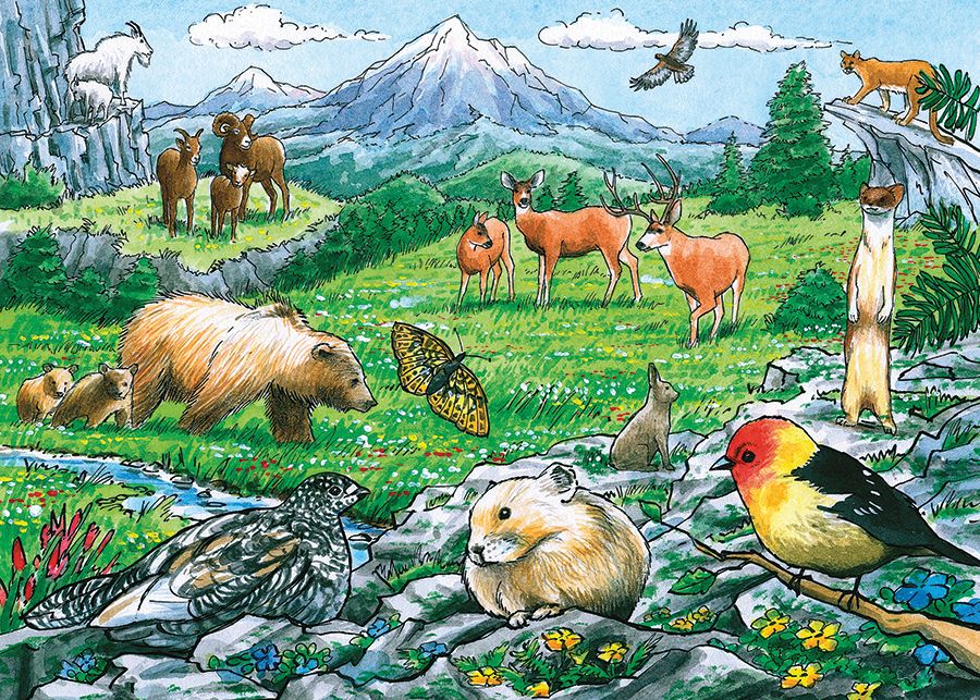 Rocky Mountain Wildlife Forest Animal Jigsaw Puzzle