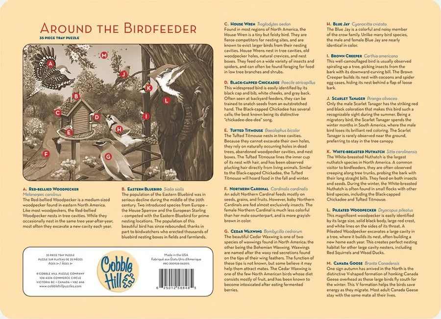 Around The Birdfeeder