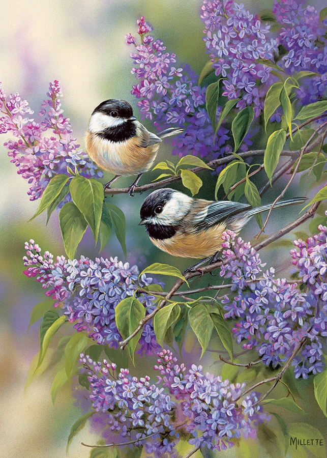 Chickadee Duo Birds