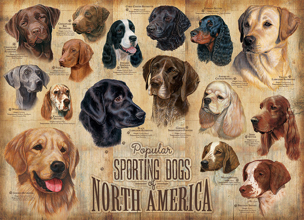 Sporting Dogs Animals Jigsaw Puzzle