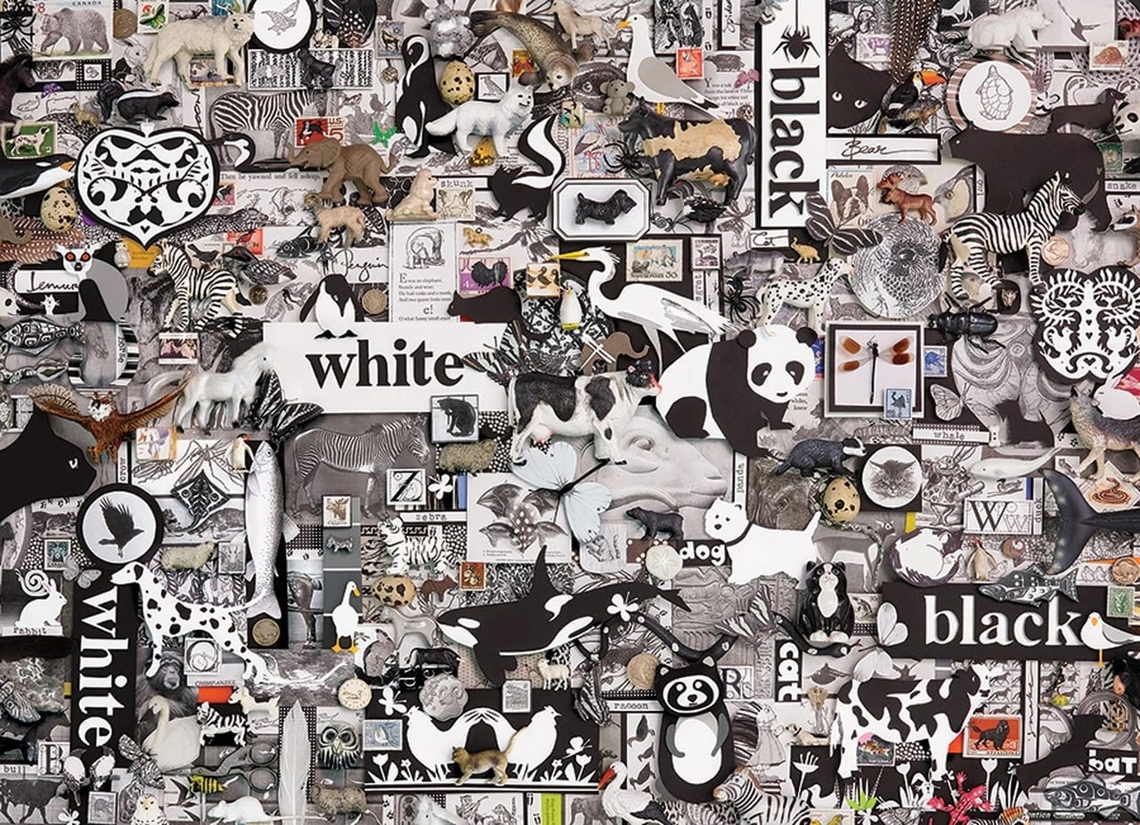 Black and White: Animals Animals