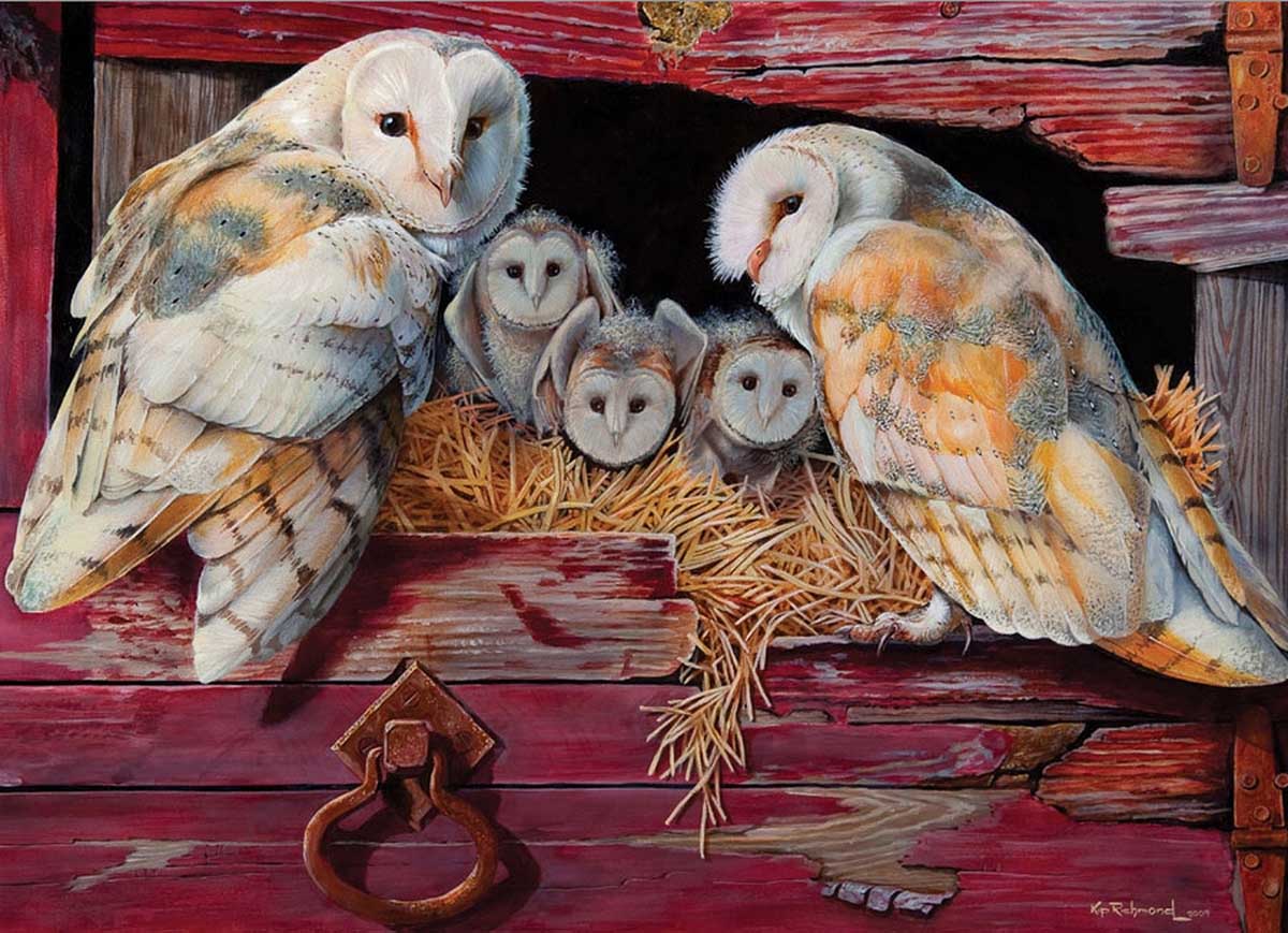 Barn Owls Birds Jigsaw Puzzle