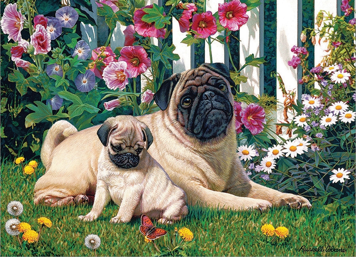 Pug Family Dogs Jigsaw Puzzle