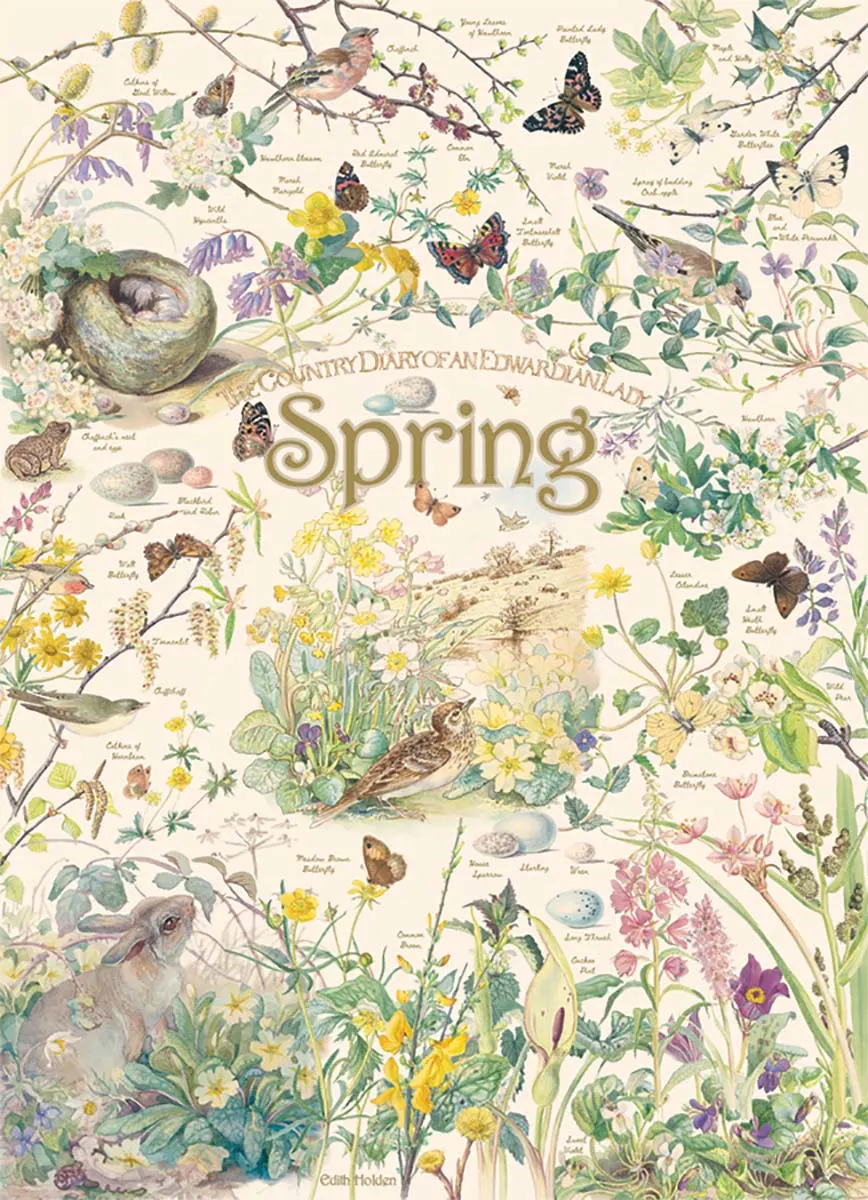 Country Diary: Spring Spring