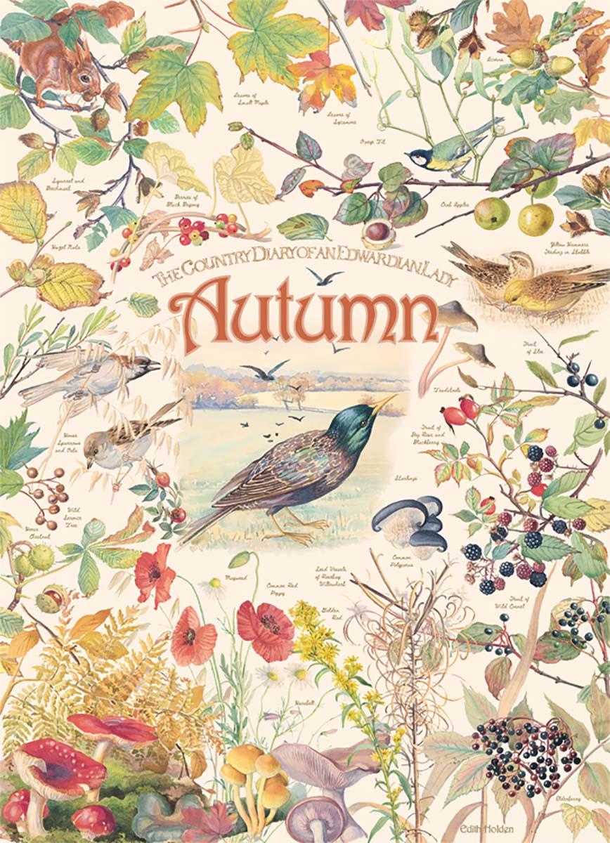 Country Diary: Autumn Flower & Garden Jigsaw Puzzle