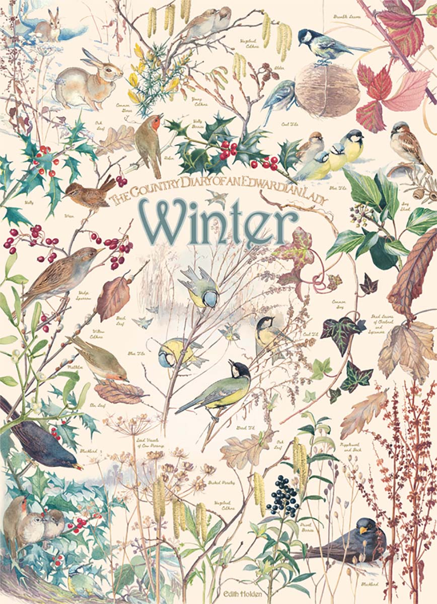 Country Diary: Winter Birds Jigsaw Puzzle