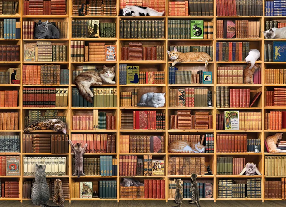The Cat Library - Scratch and Dent Cats