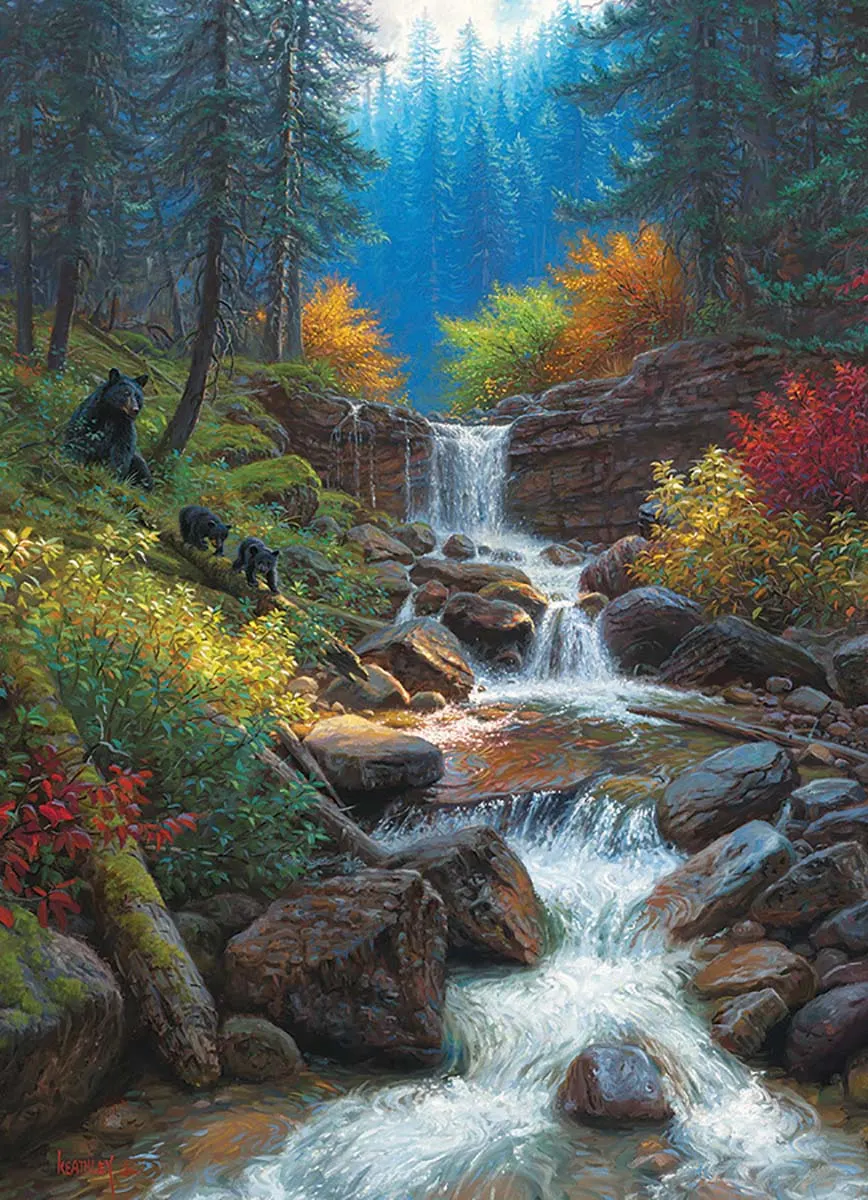 Mountain Cascade Forest