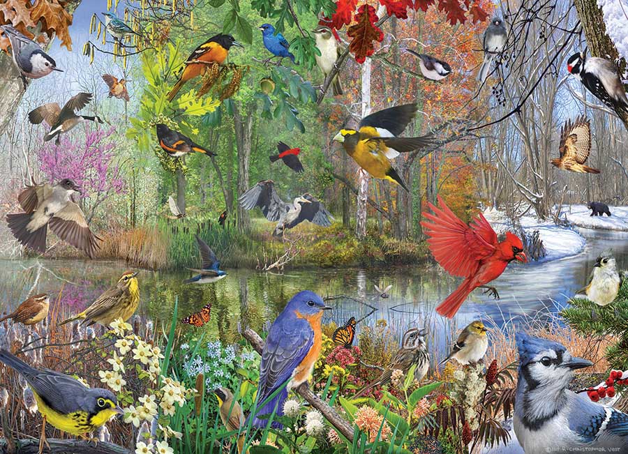 Birds of the Season Birds Jigsaw Puzzle