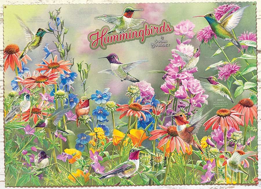 Hummingbirds Birds