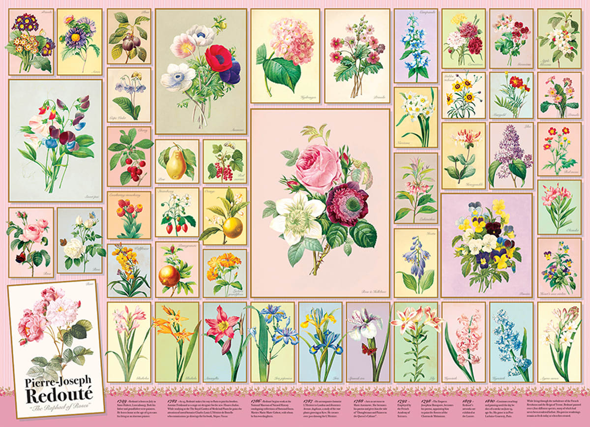 Redoute Flower & Garden