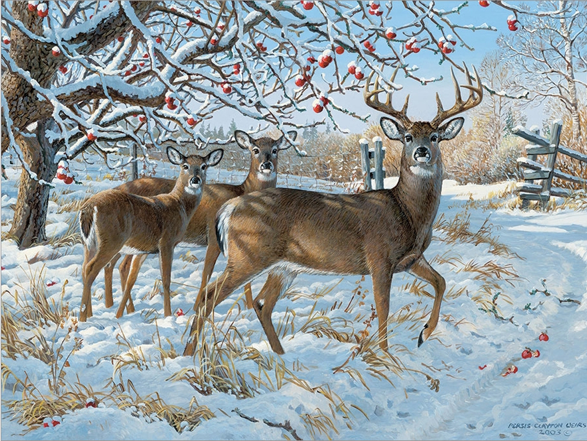 Winter Deer Forest Animal Jigsaw Puzzle