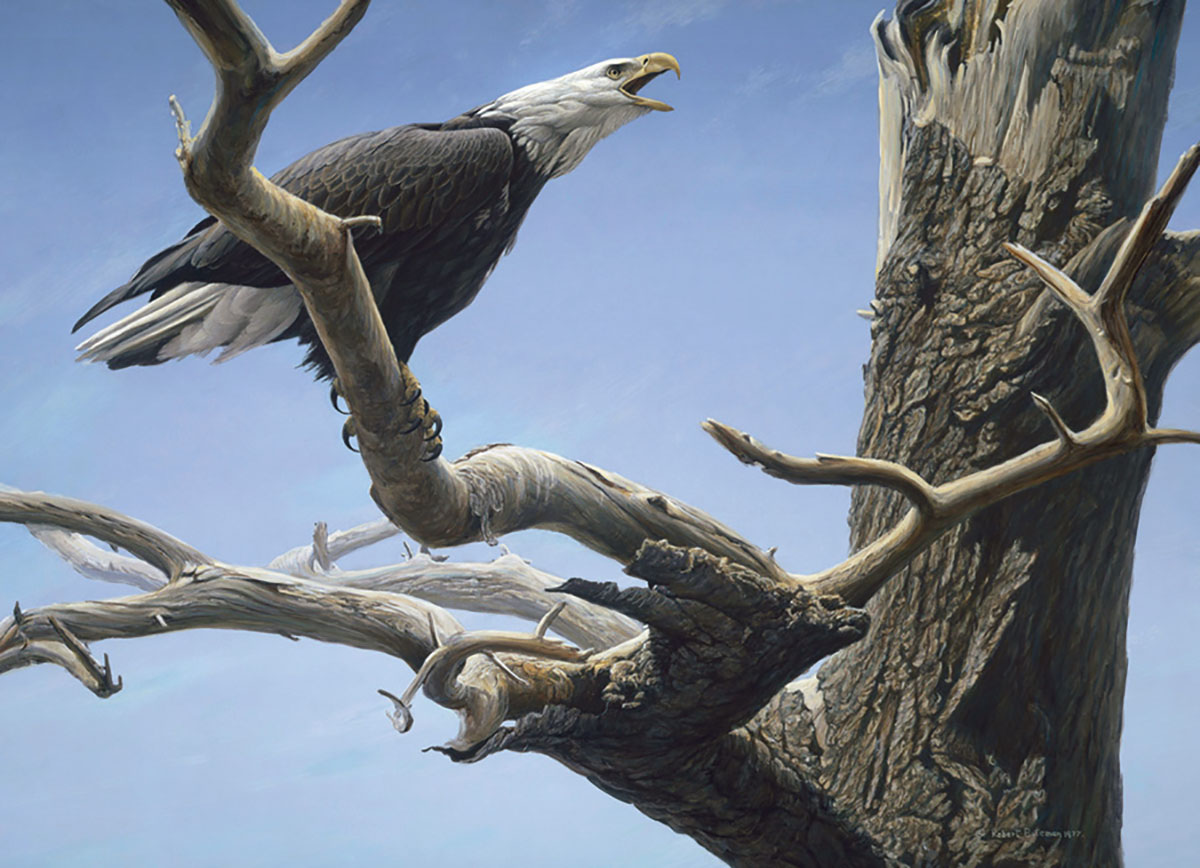 Call of the Wild Birds Jigsaw Puzzle