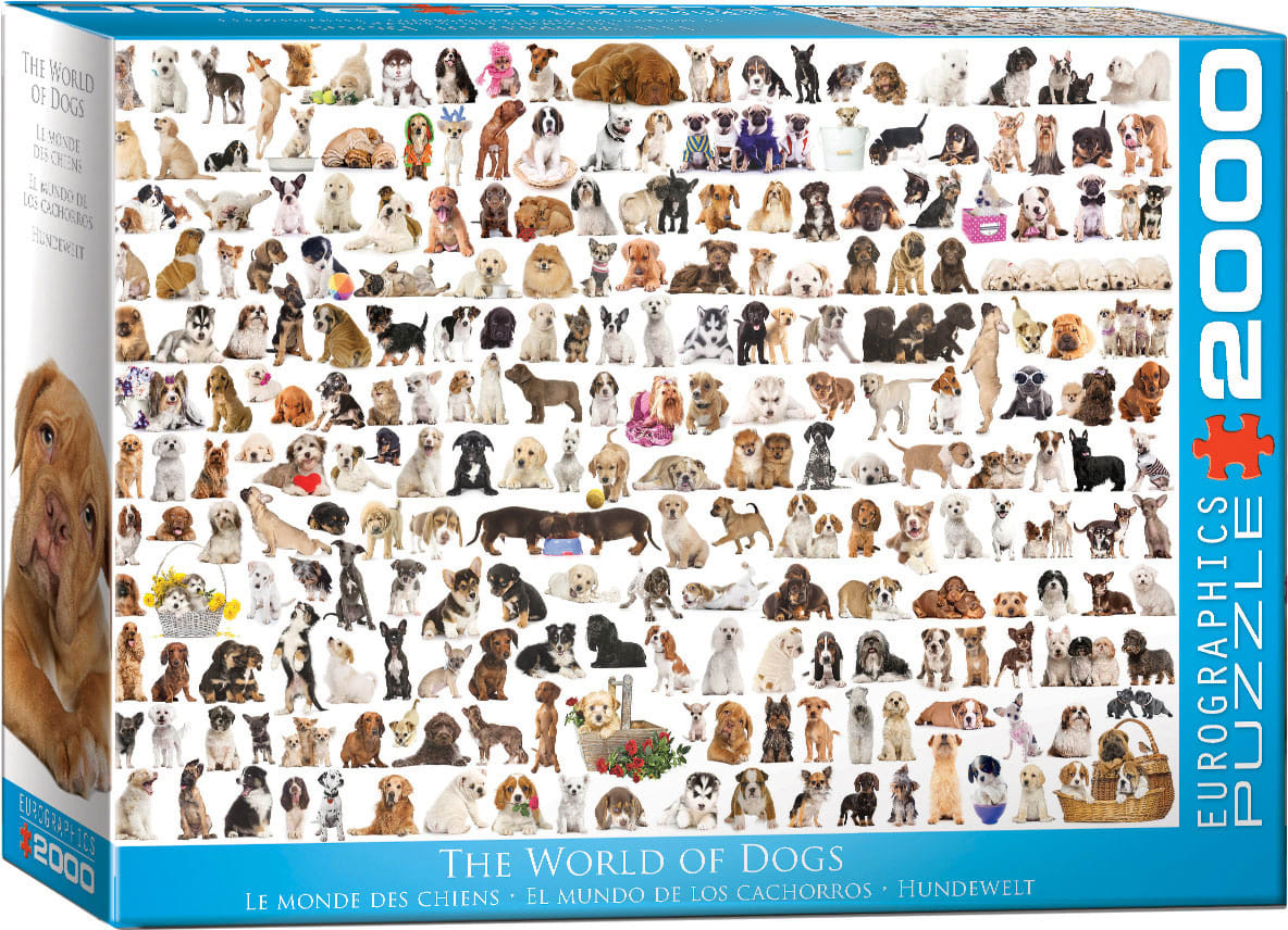 The World of Dogs