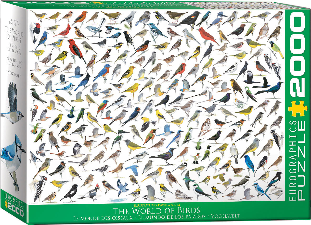 The World of Birds