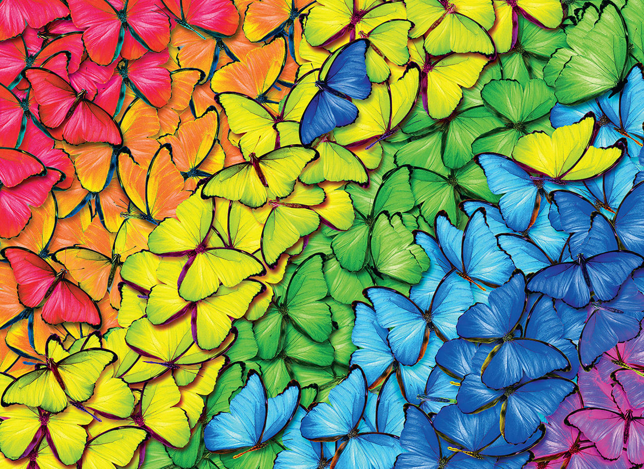 Butterfly Rainbow - Tin Packaging Butterflies and Insects