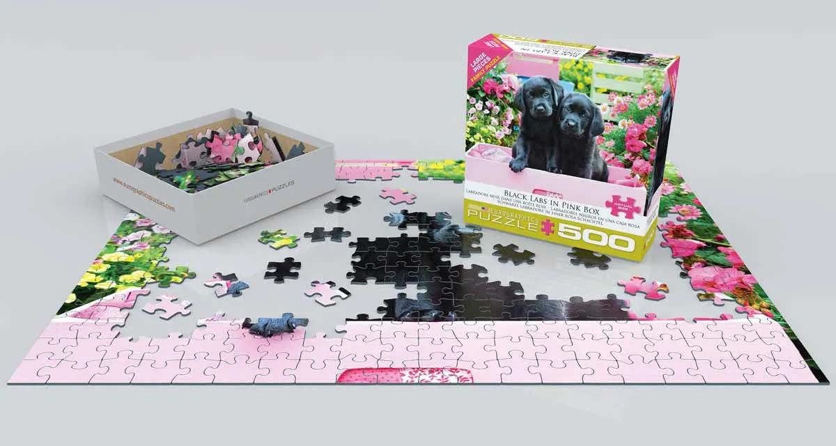 Black Labs in Pink Box