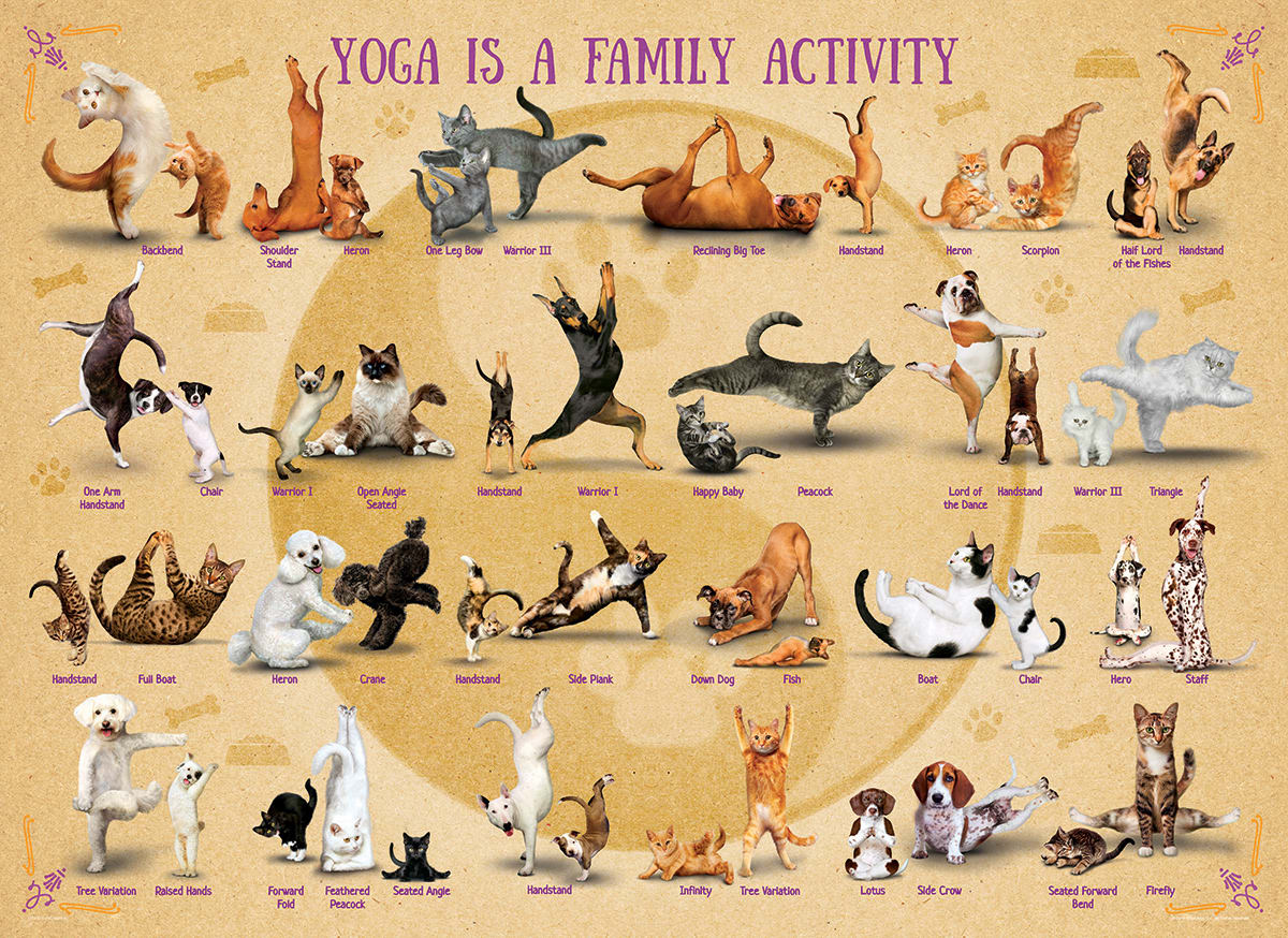 Yoga is a Family Activity Cats