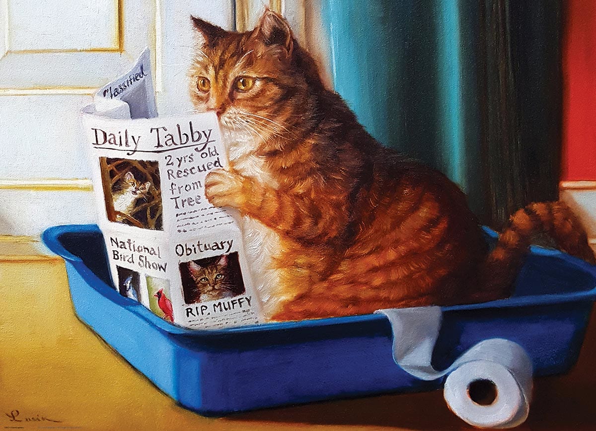 Kitty Throne Cats