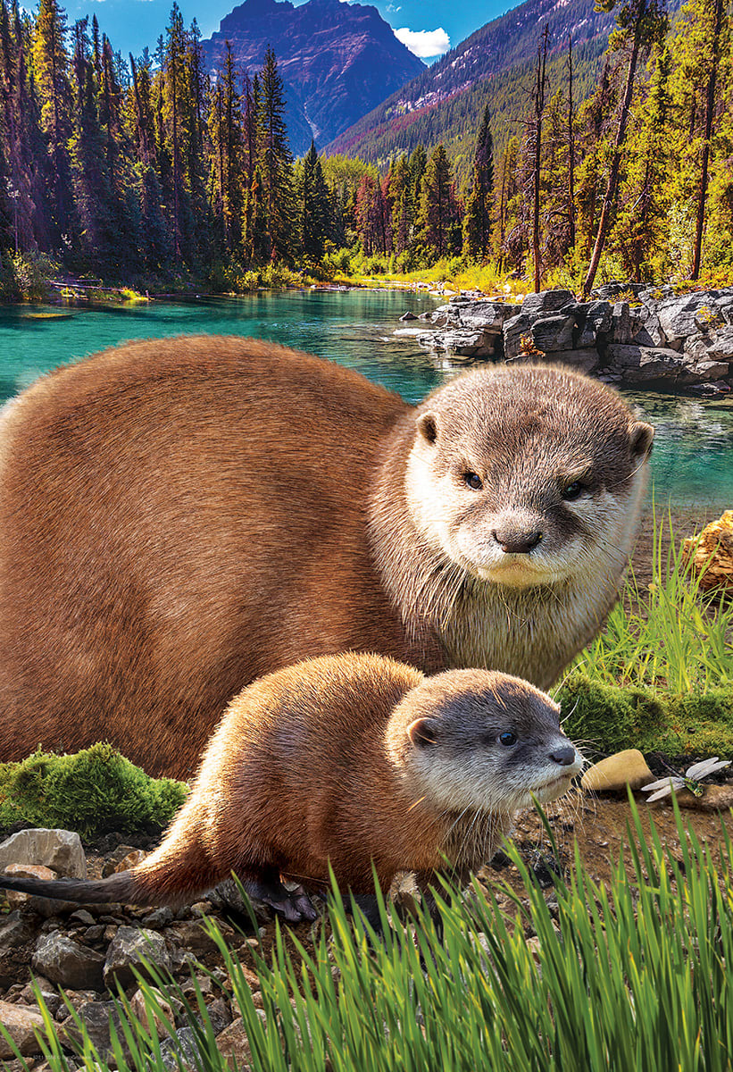Otter Animals