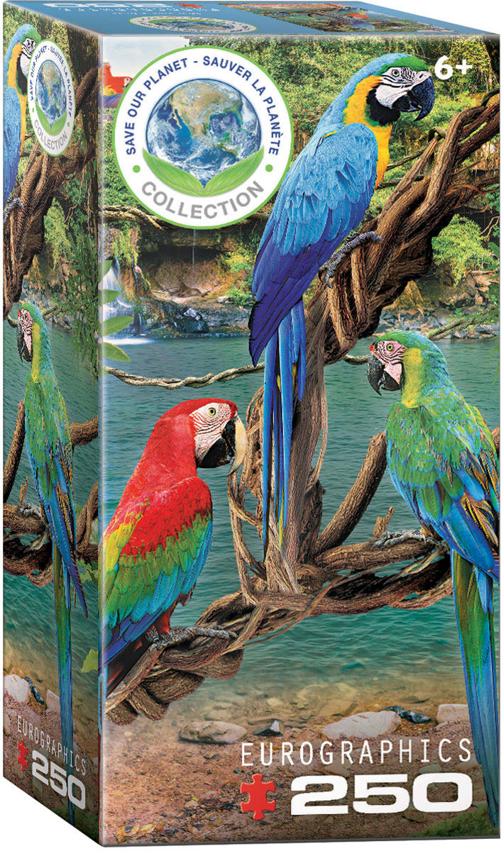 Macaws