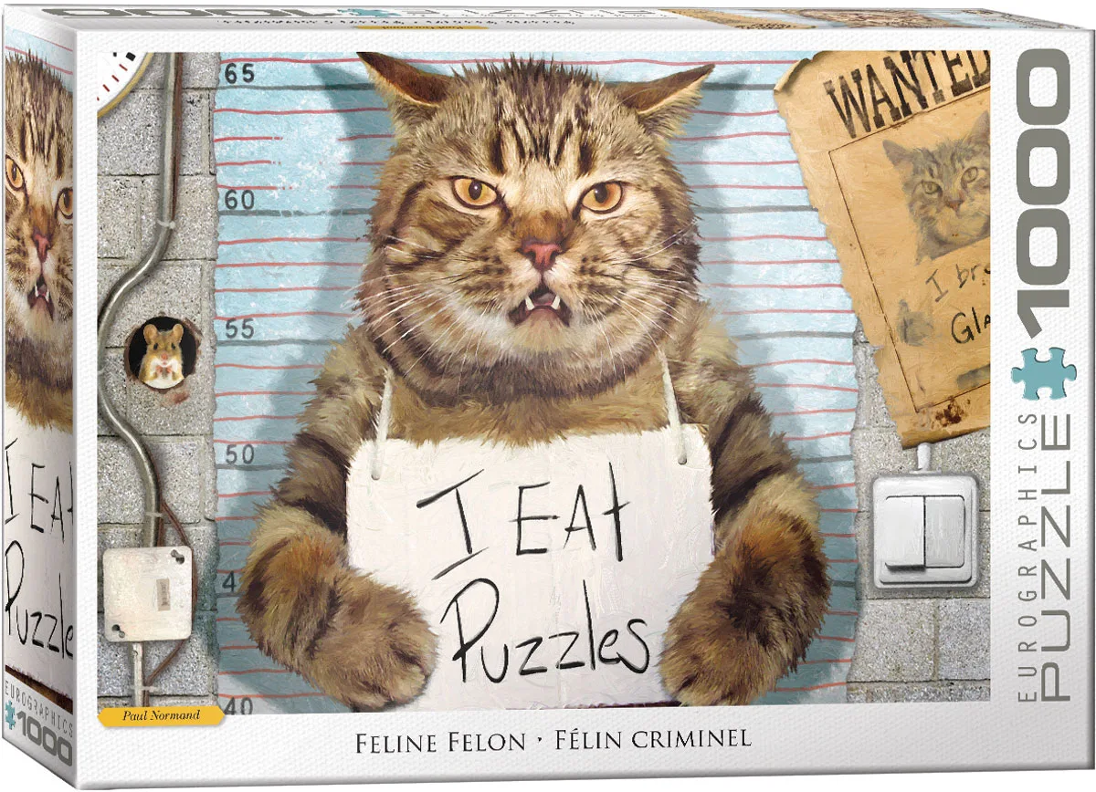 Feline Felon Cats