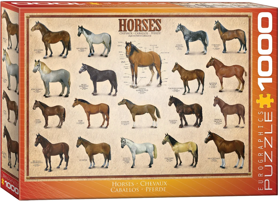 Horses