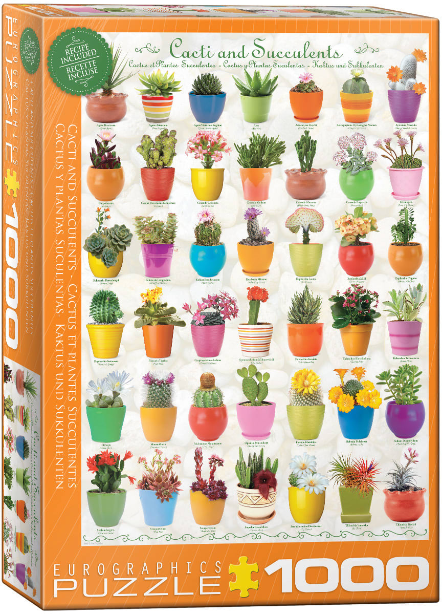 Cacti and Succulents