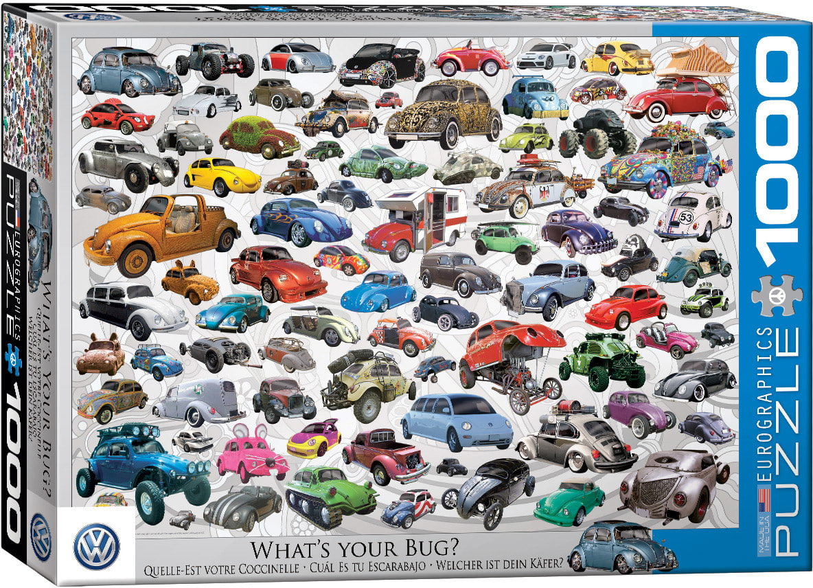 What's Your Bug? - VW Beetle