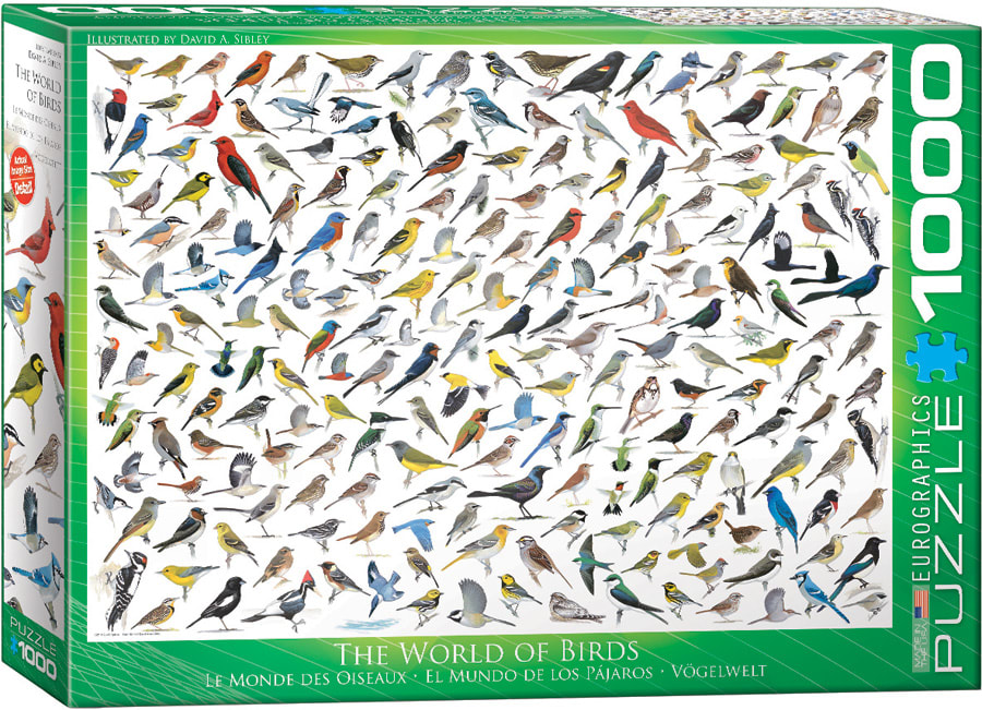 The World of Birds