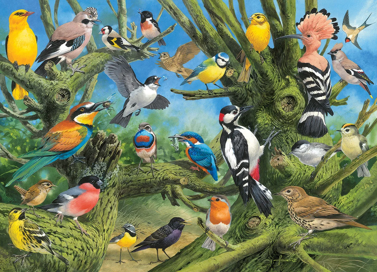 Garden Birds - Scratch and Dent Birds