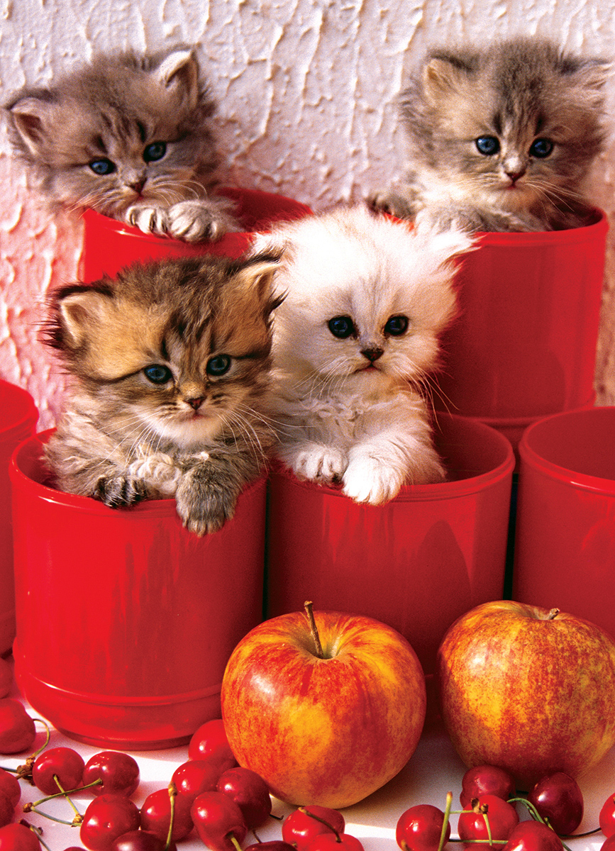 Kittens in Pots Cats Jigsaw Puzzle