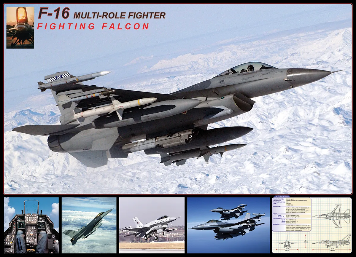 F-16 Fighting Falcon Plane
