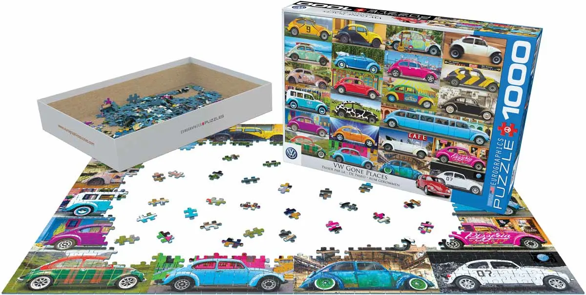 VW Beetle Gone Places