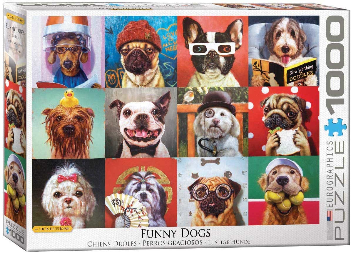 Funny Dogs - Scratch and Dent Dogs