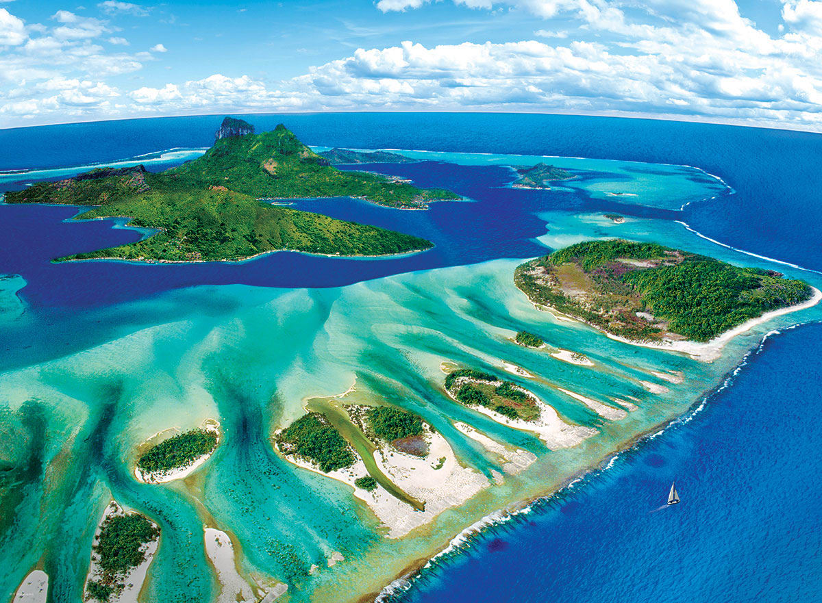 Coral Reef Beach & Ocean