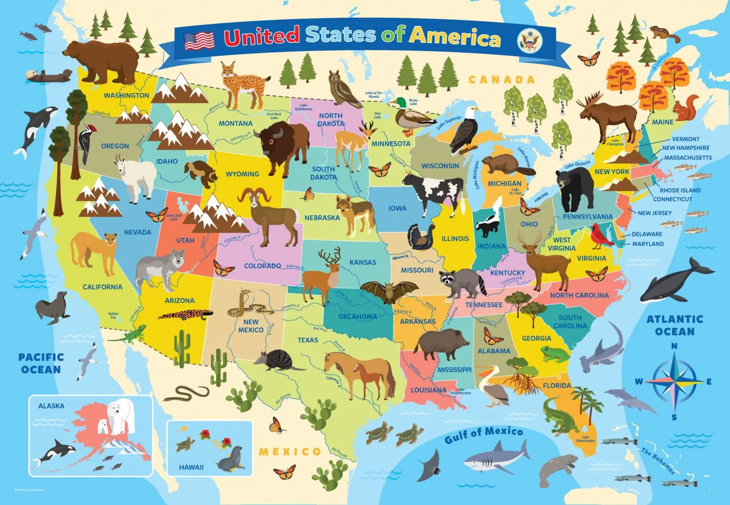 United States Map Illustrated Maps & Geography