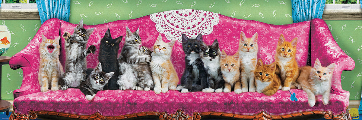 Kitty Cat Couch Cats