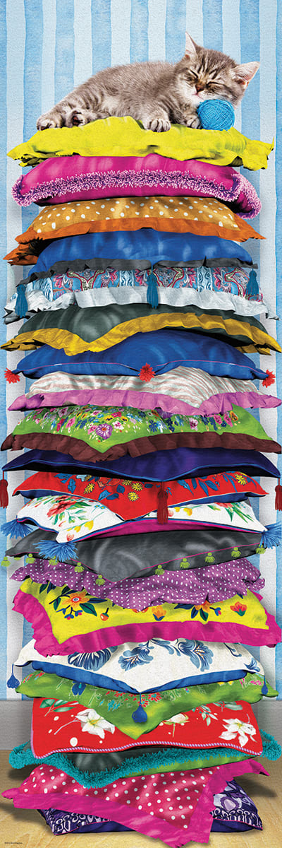 Fluffy Kitty on Pillows Cats