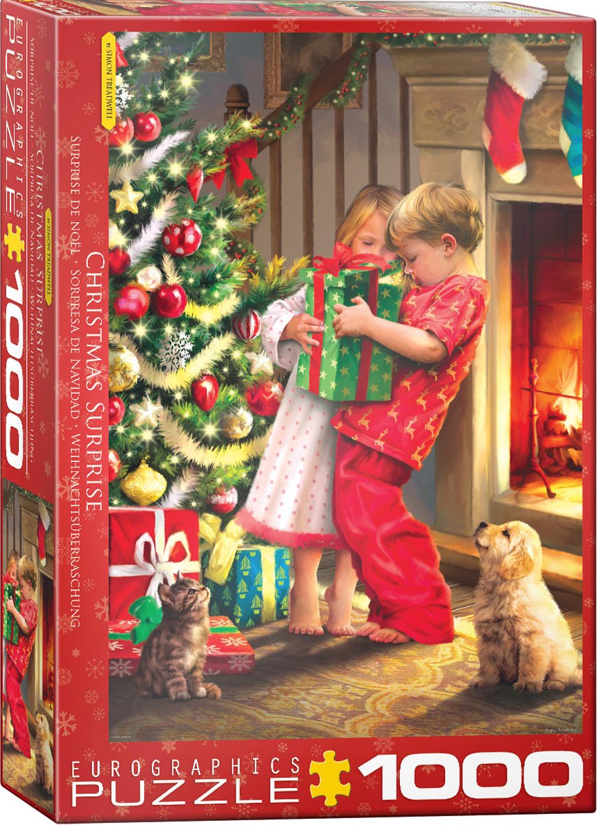 Chistmas Surprise