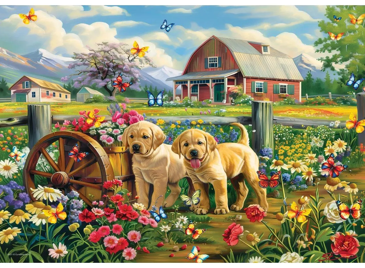 Puppy Spring