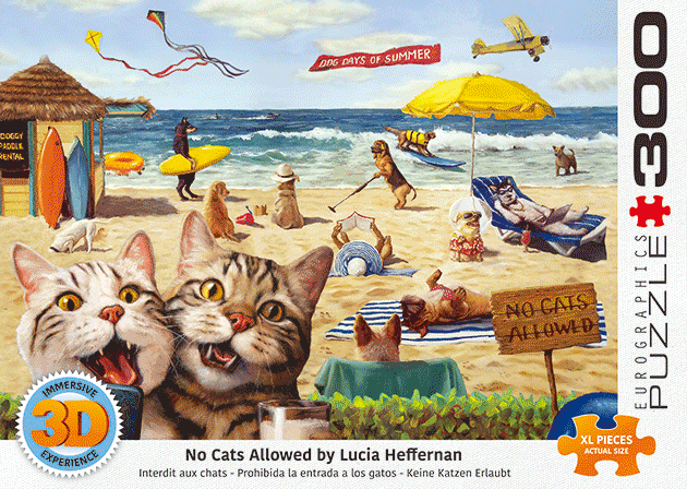 No Cats Allowed 3D Lenticular