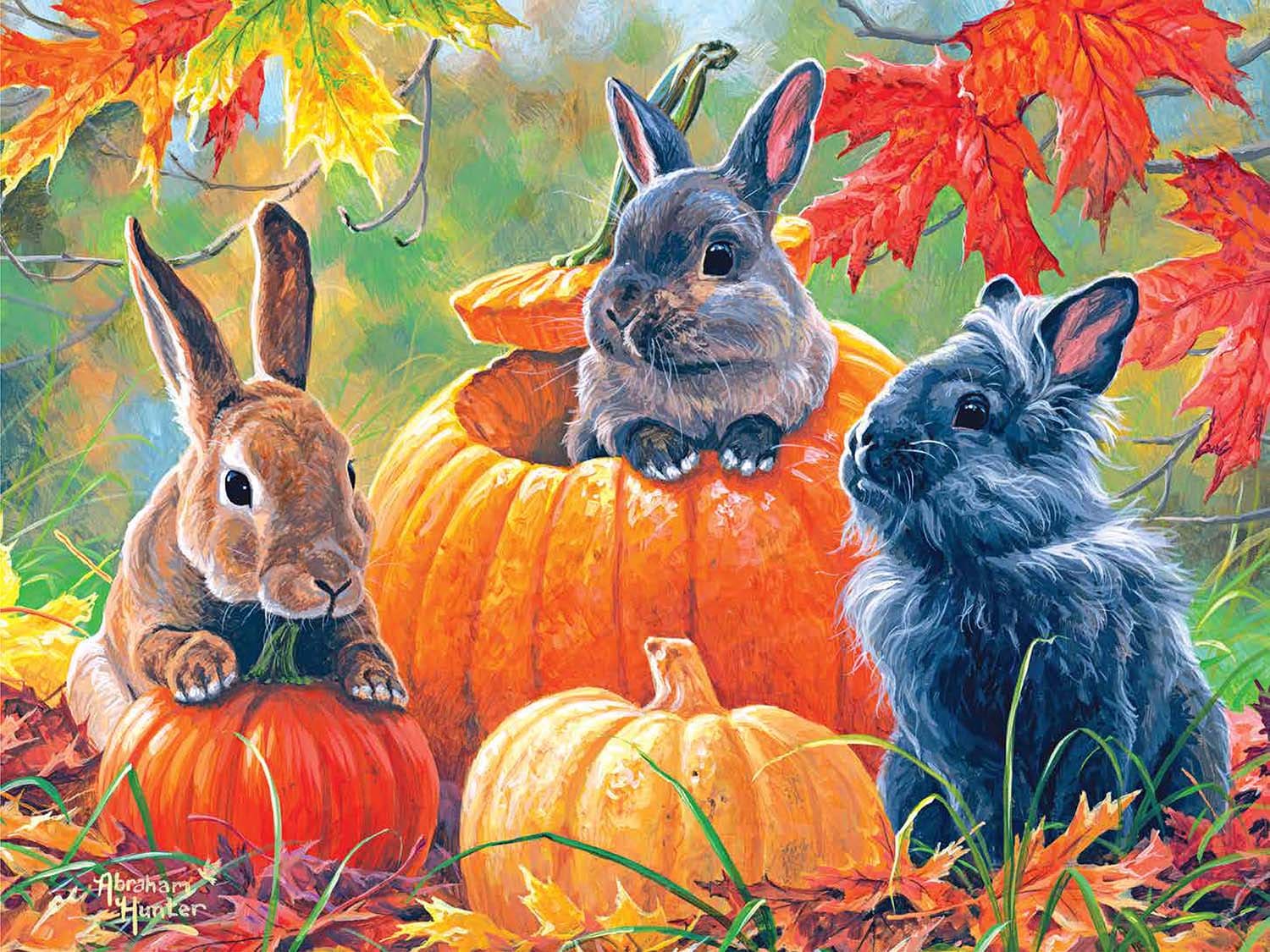 Pumpkin Patch Bunnies - Scratch and Dent Animals