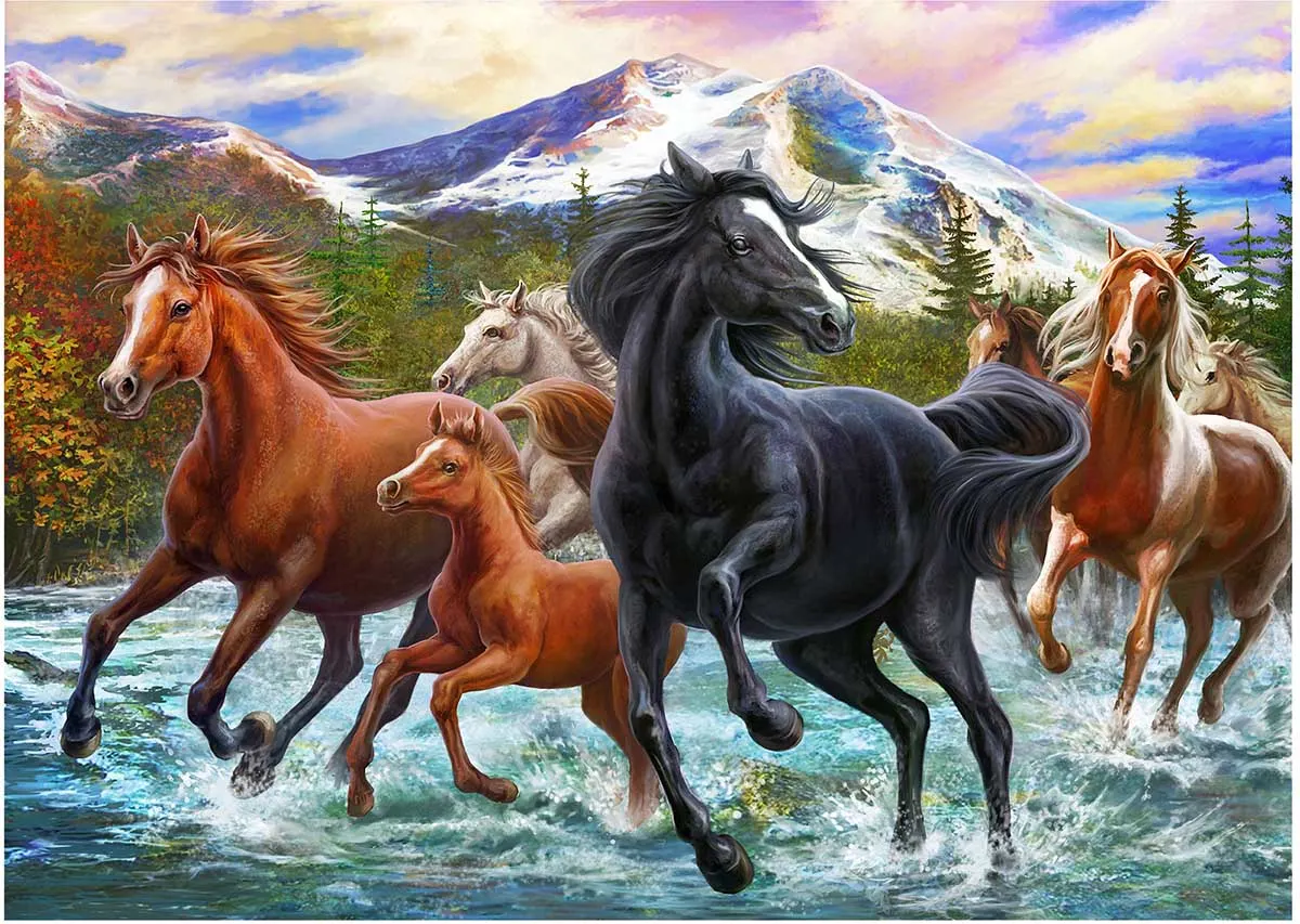 Black Stallion Friends Horse
