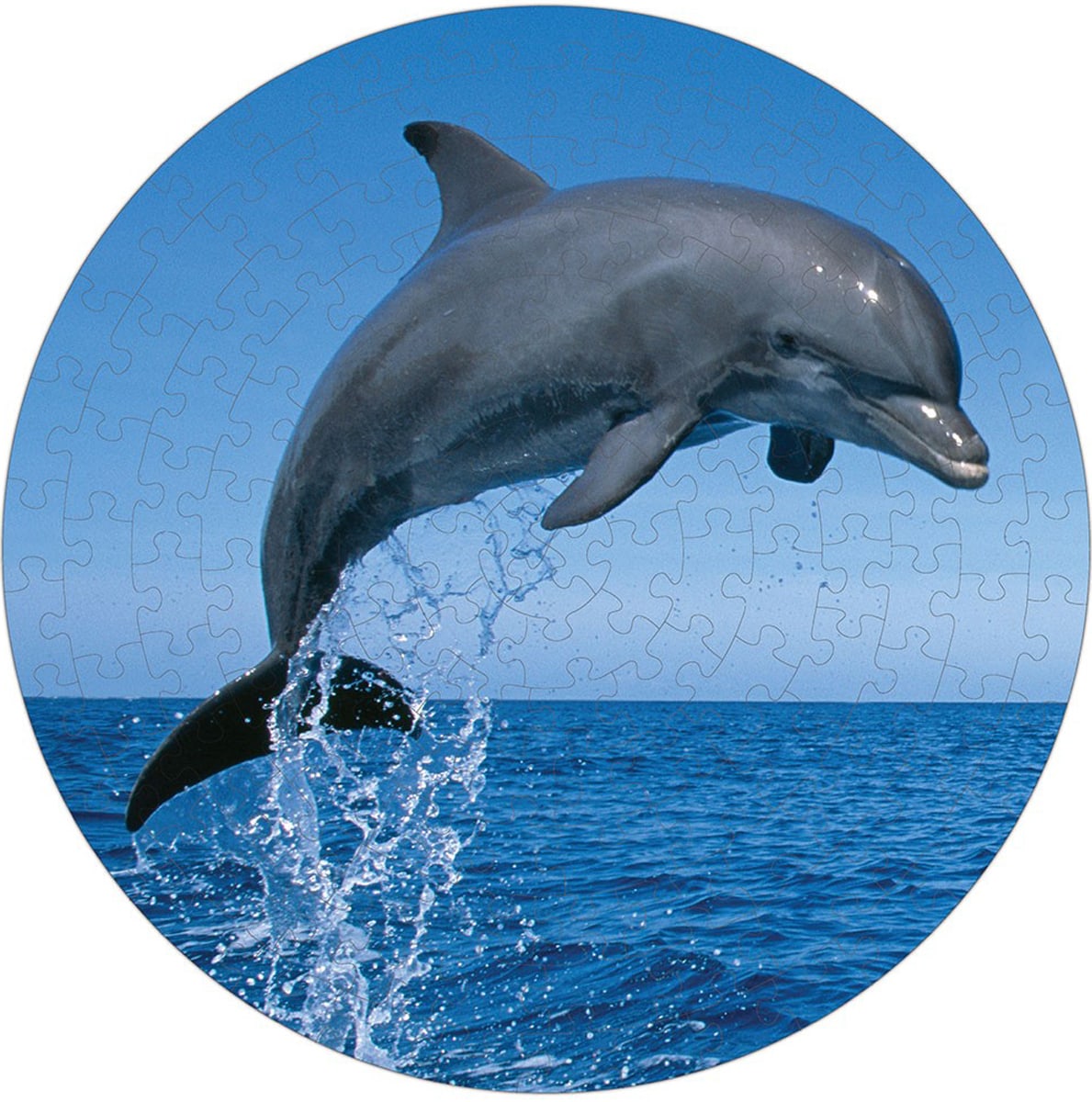 Bottlenose Dolphin Puzzle A&bull;Round: Dolphin