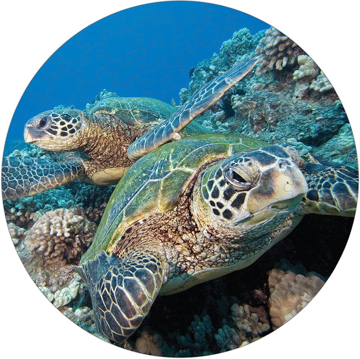 Green Sea Turtle Puzzle A&bull;Round Summer